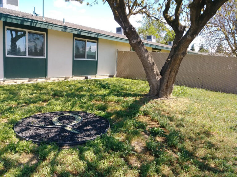 Support Overnight Stay SOS 768x576